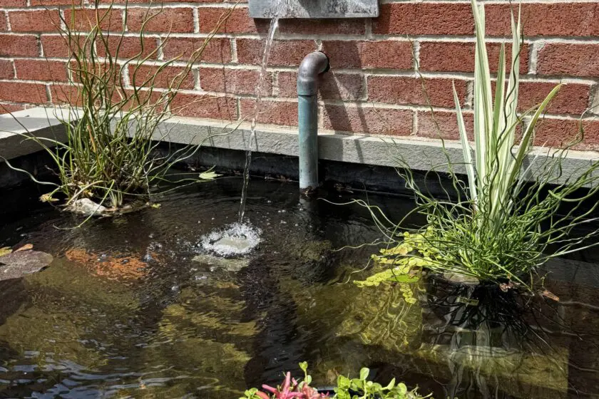 Newtown, PA's Best Pond Builders