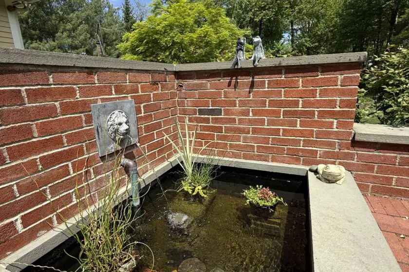 Newtown, PA's Best Pond Builders