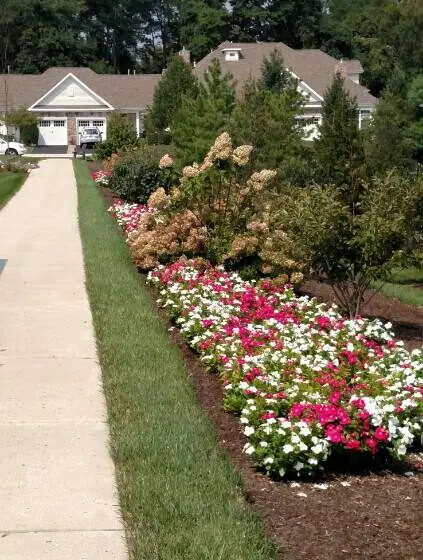 Newtown, PA Commercial Landscaping Companies