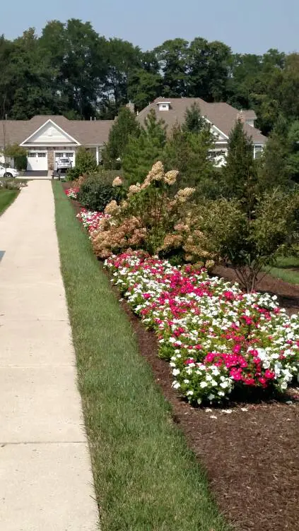 Newtown, PA Commercial Landscaping Companies