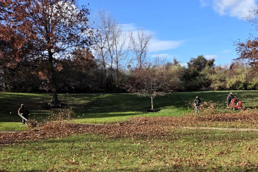 Comprehensive Landscape Maintenance Programs Newtown, PA