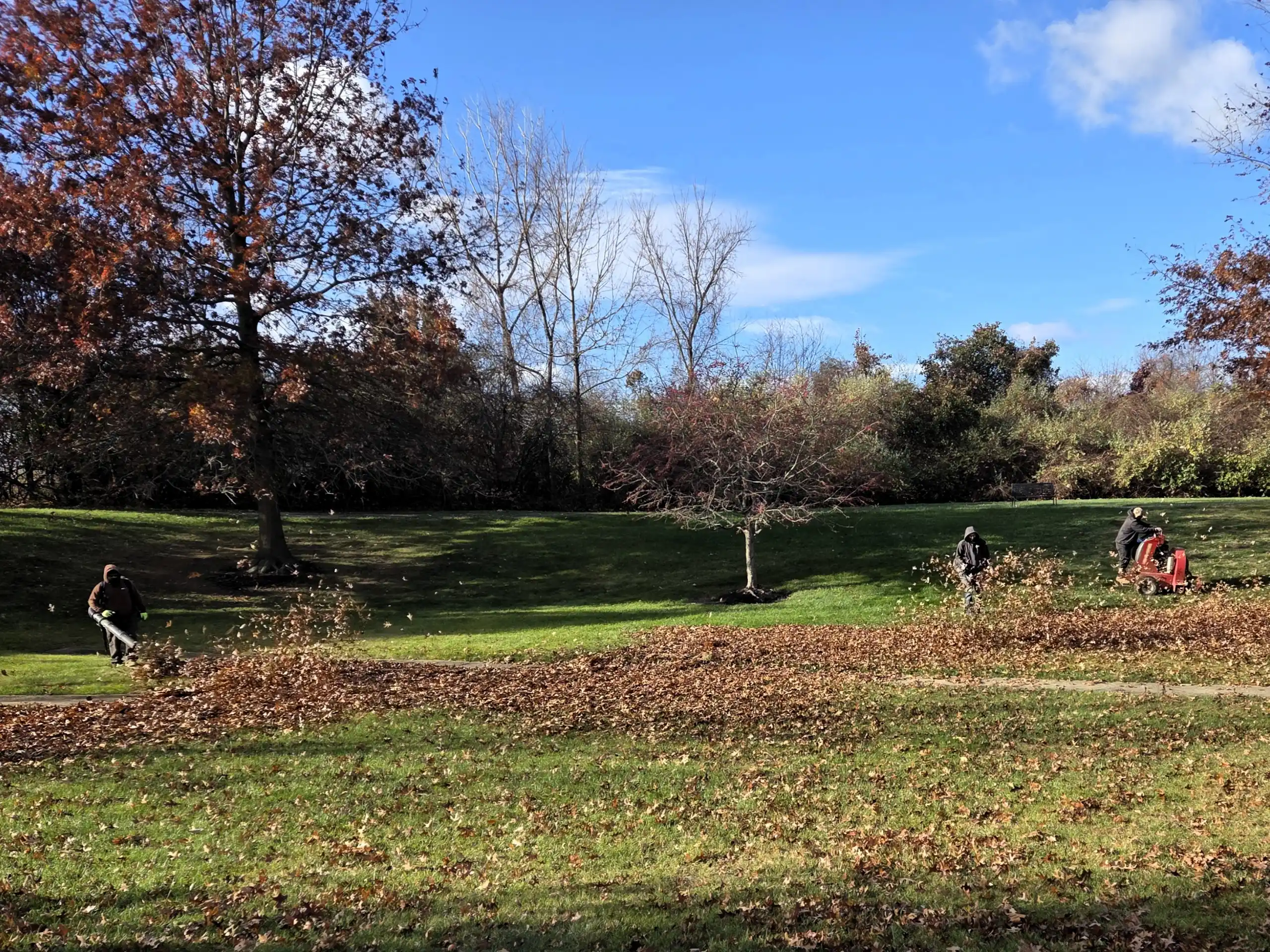 Comprehensive Landscape Maintenance Programs Newtown, PA