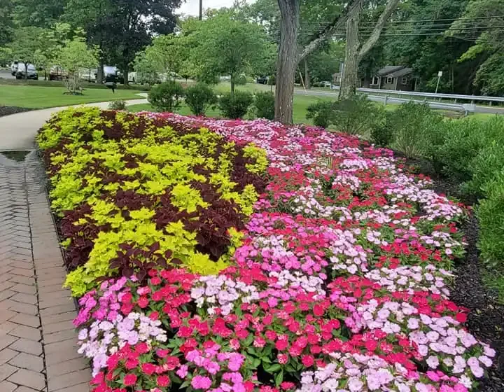 Comprehensive Landscape Maintenance Programs Newtown, PA
