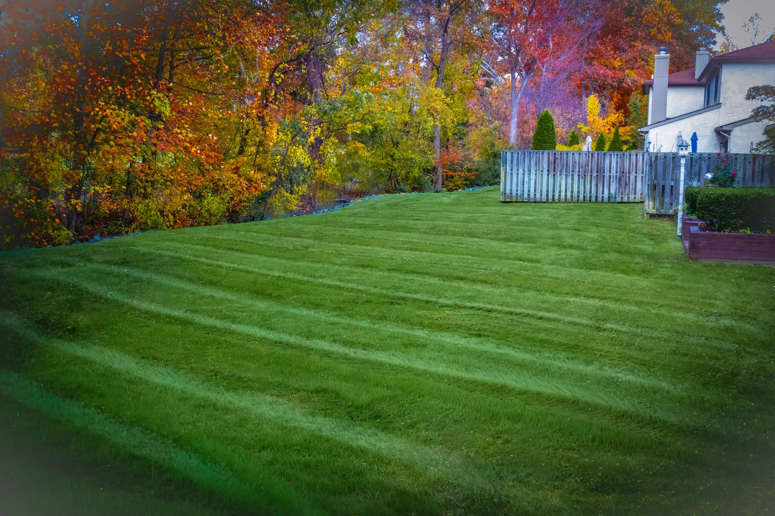 Comprehensive Landscape Maintenance Programs Newtown, PA