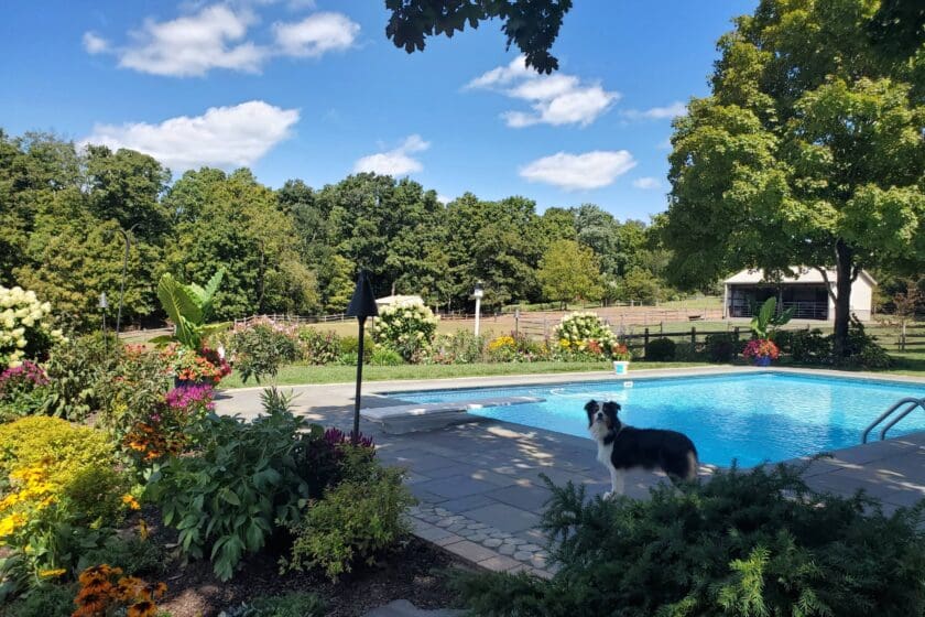 Newtown, PA Landscaping Services