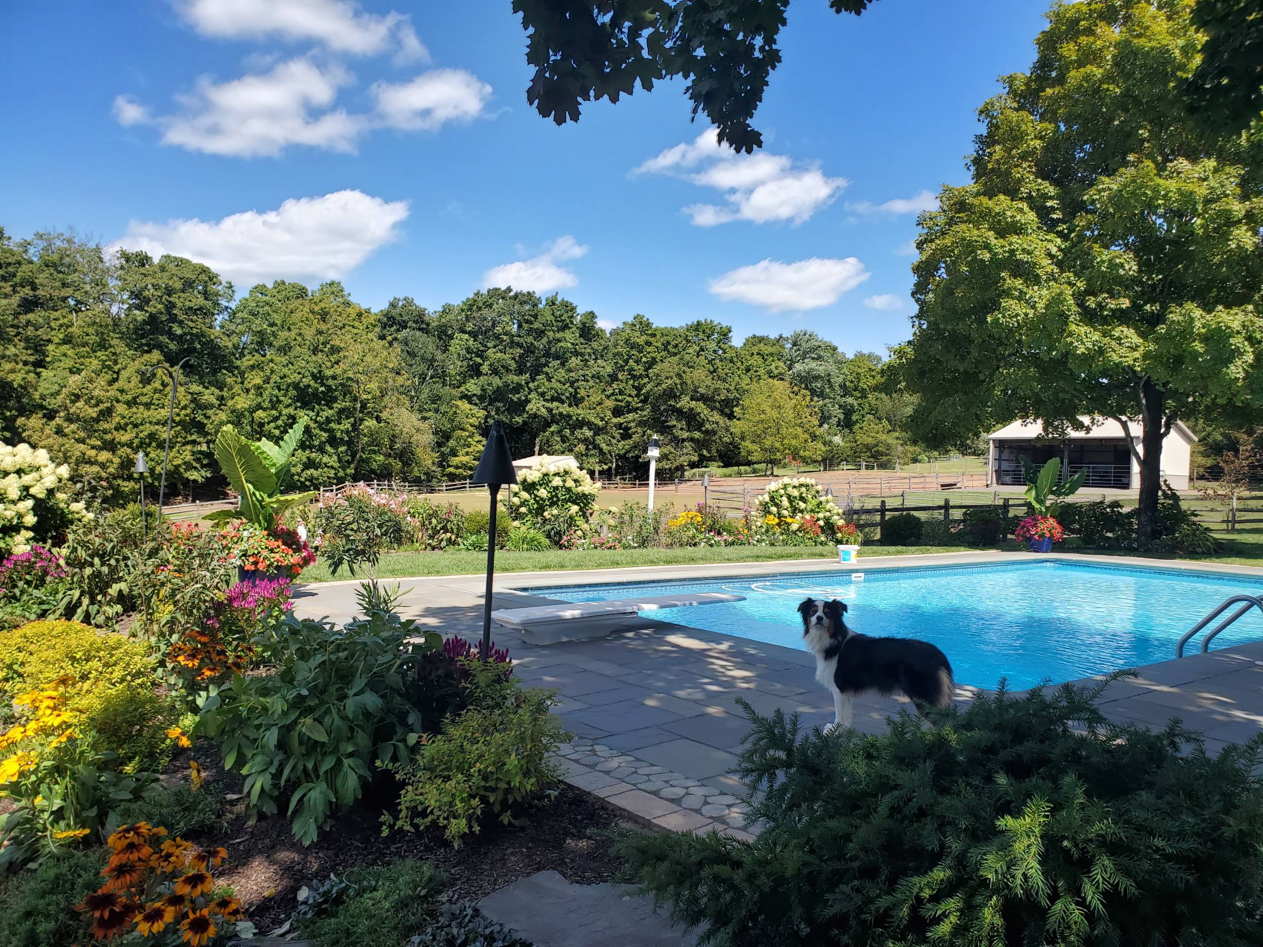 Newtown, PA Landscaping Services