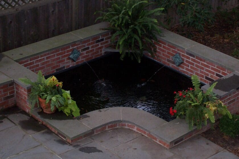Newtown, PA's Best Pond Builders
