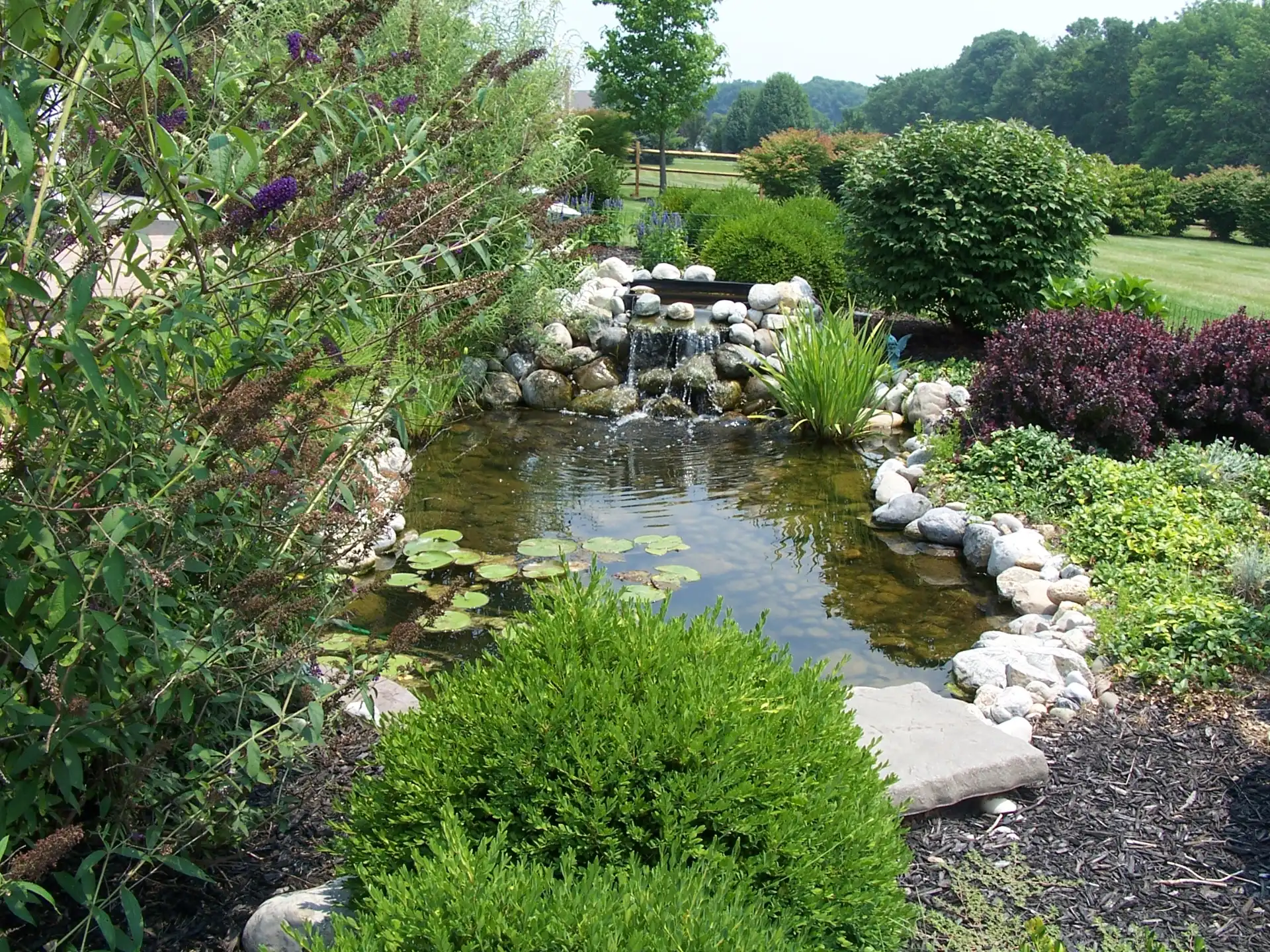 Newtown, PA's Best Pond Builders