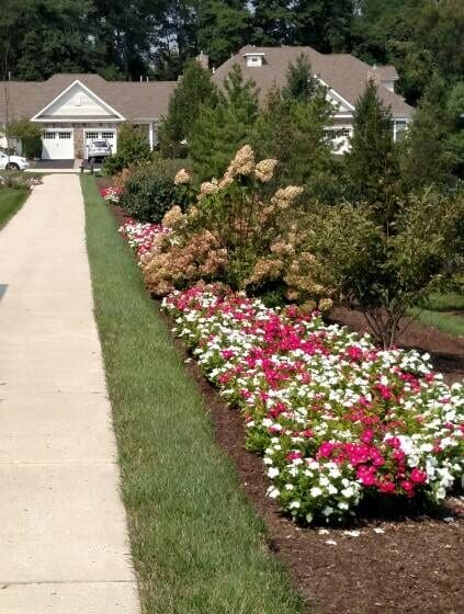 Newtown, PA Commercial Landscaping Companies