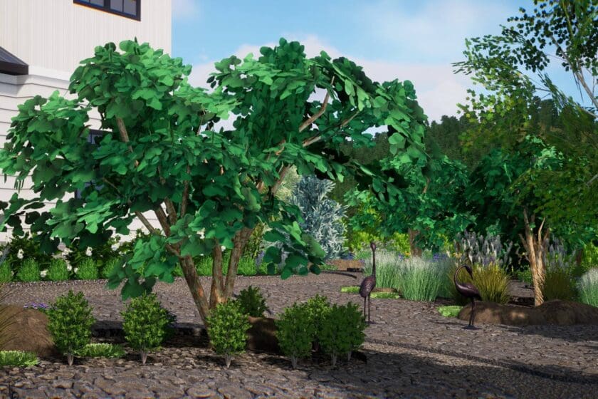 Landscape Design Services Newtown, PA