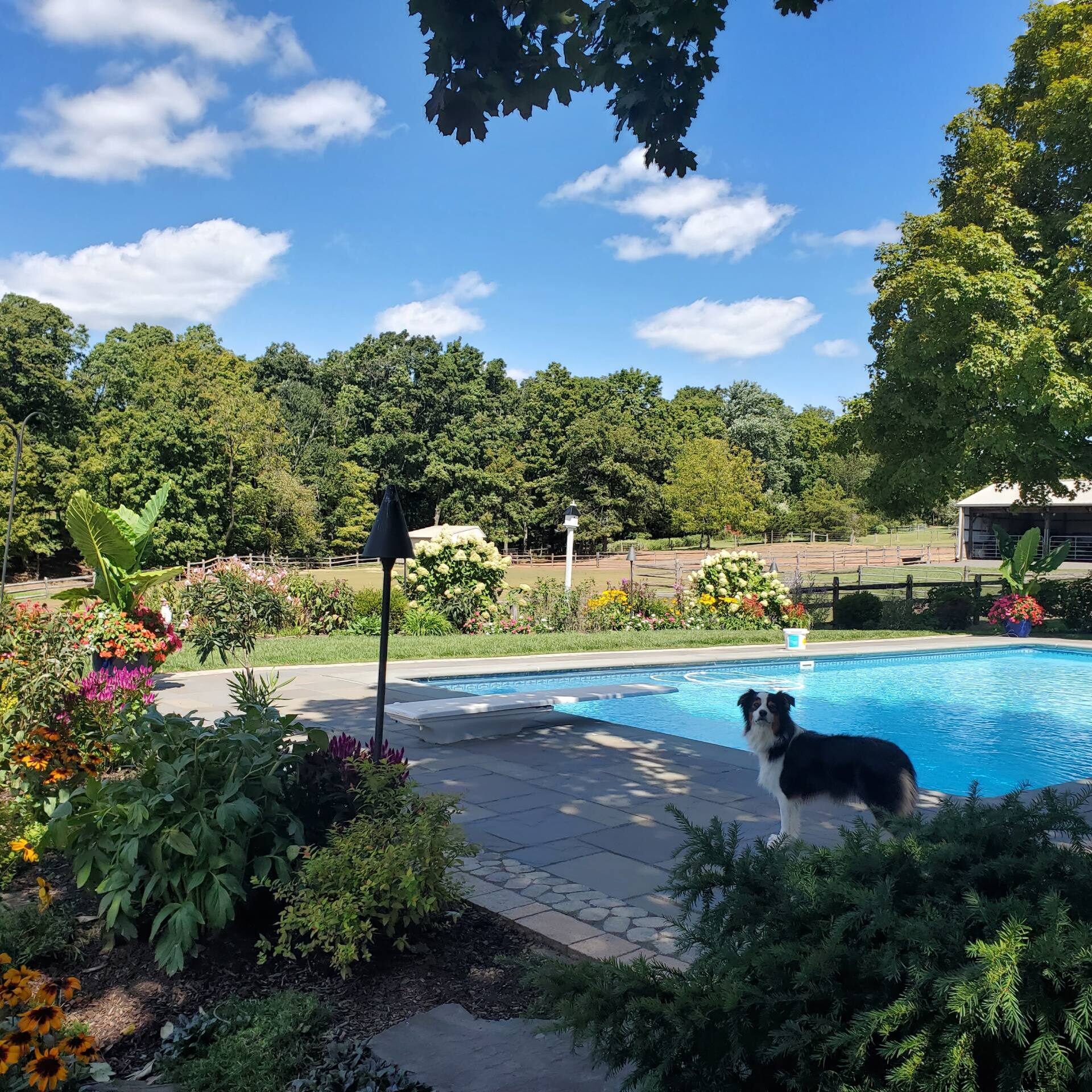 Newtown, PA Landscaping Services