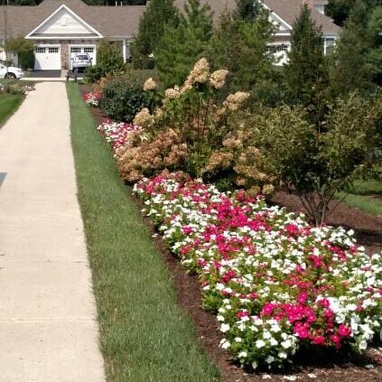 Newtown, PA Commercial Landscaping Companies