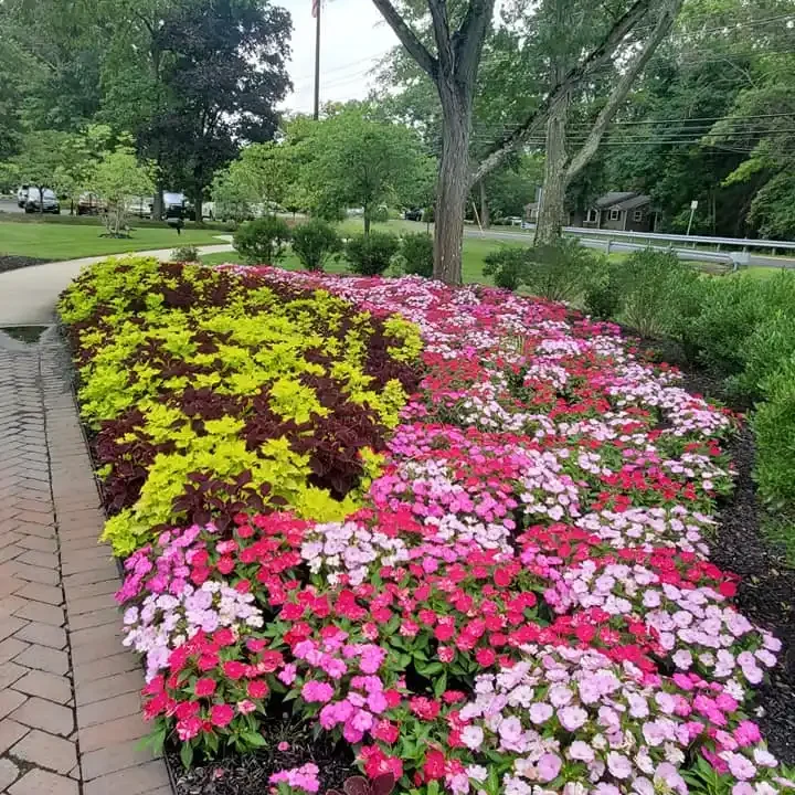 Comprehensive Landscape Maintenance Programs Newtown, PA