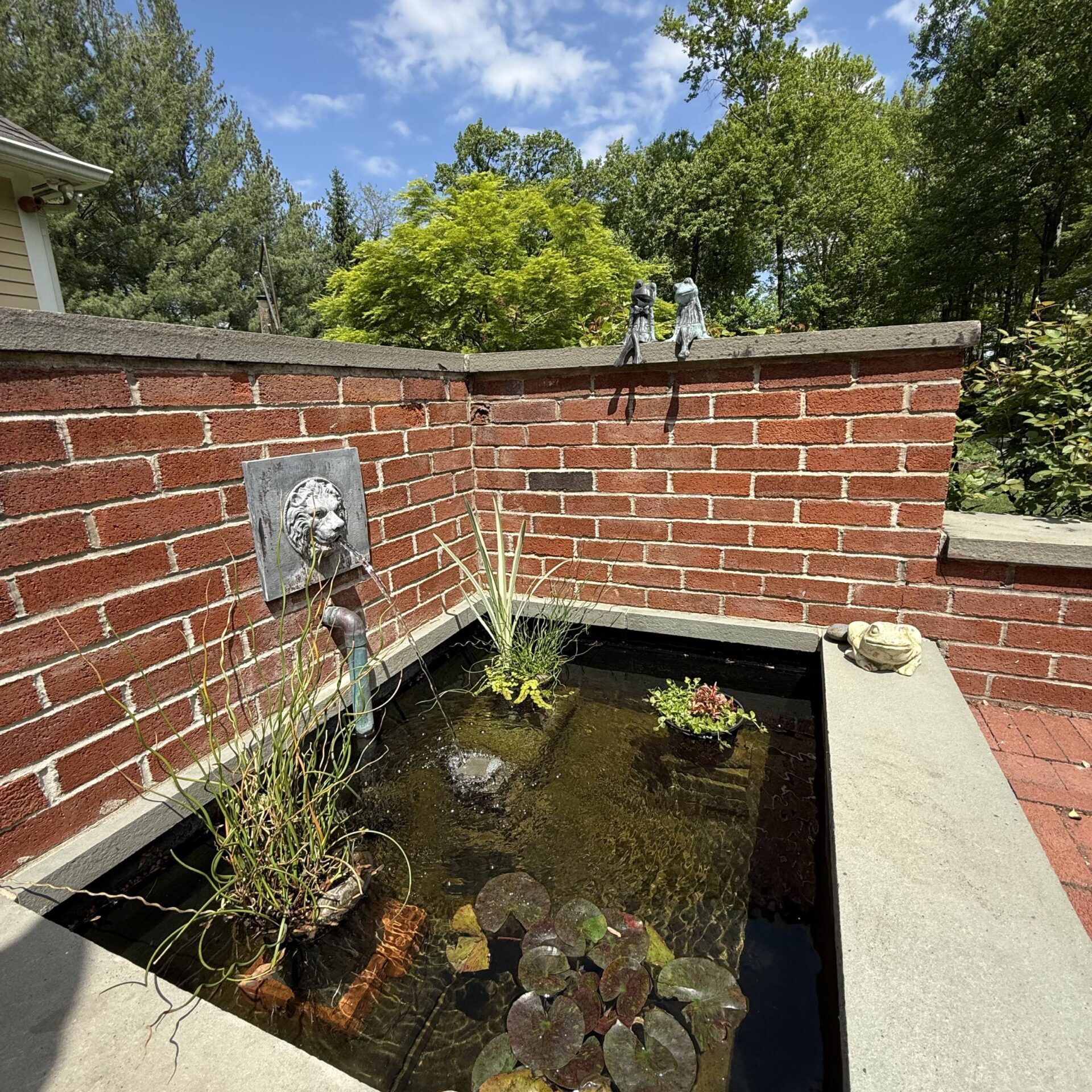 Newtown, PA's Best Pond Builders