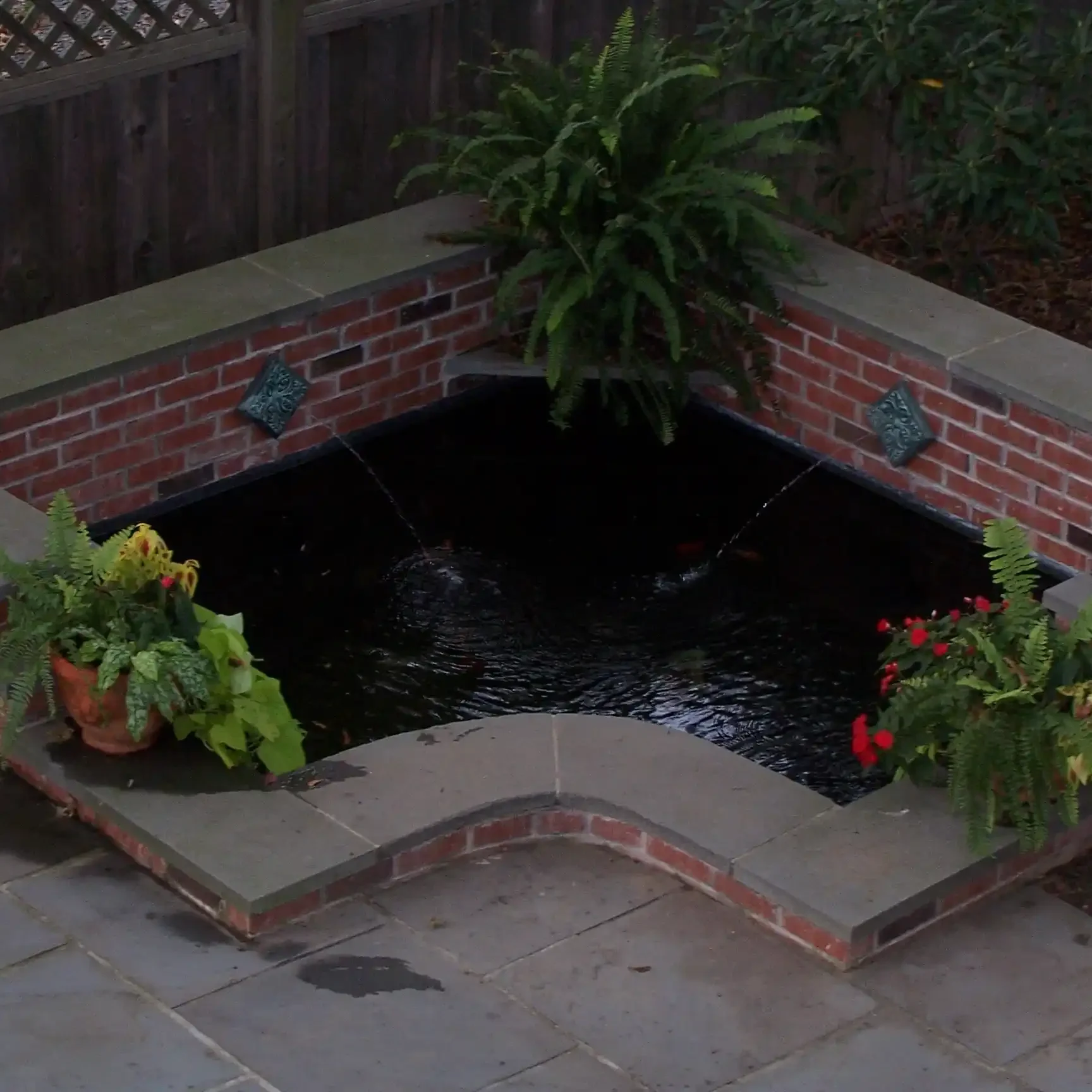 Newtown, PA's Best Pond Builders